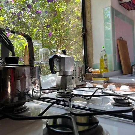 Holiday home Podere Il Sodo