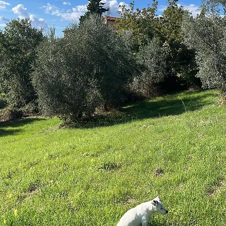 Holiday home Podere Il Sodo Bargino