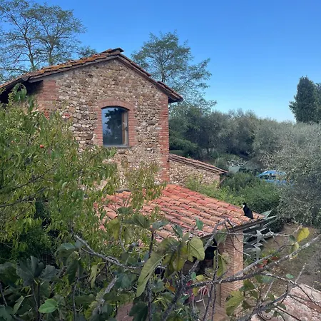 Podere Il Sodo *