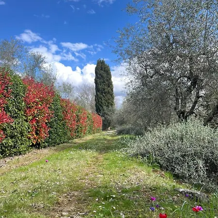 Podere Il Sodo *