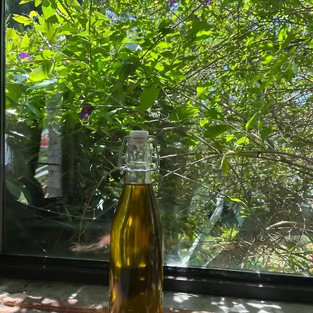 بيت للعطل Podere Il Sodo Bargino